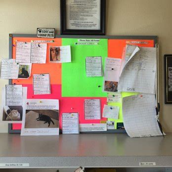 mesquite animal control phone number|Mesquite Animal Control.
